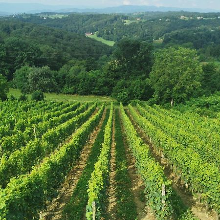 Sobe, Rooms B&B - Vina Kauran Zgornji Jakobski Dol Esterno foto